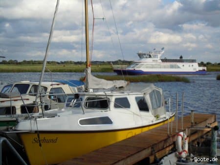 Motorsegler COX   – Bild 6