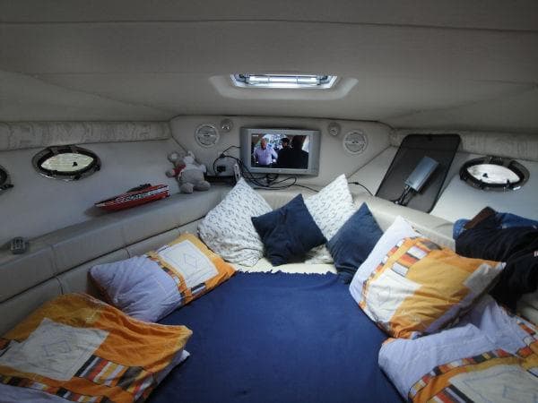 Spring Crownline 262 – Bild 3