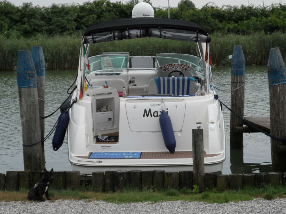 bayliner 315 – Bild 7
