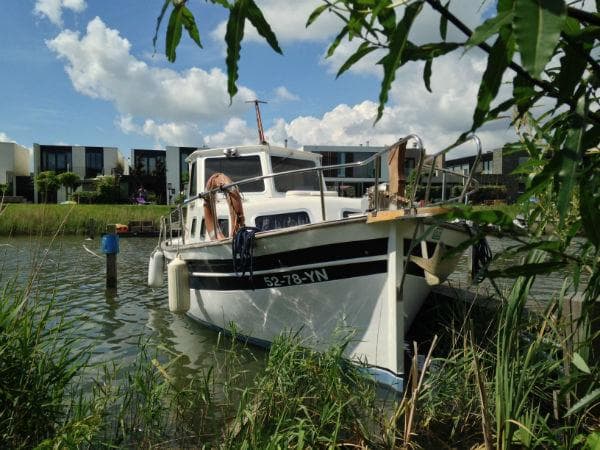 Majoni 42 – Bild 6