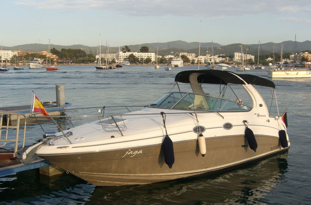 Sea Ray 280/310 DA