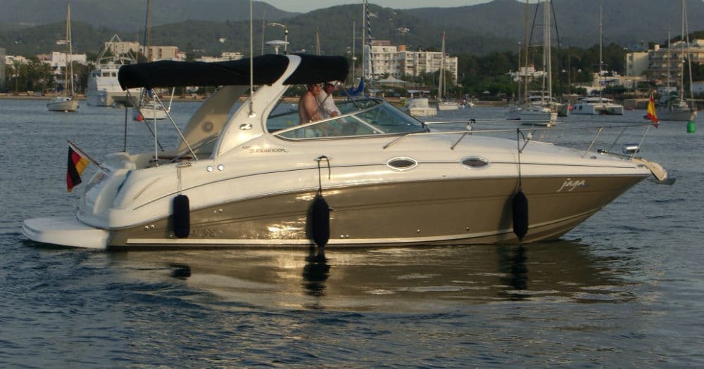 Sea Ray 280/310 DA – Bild 2