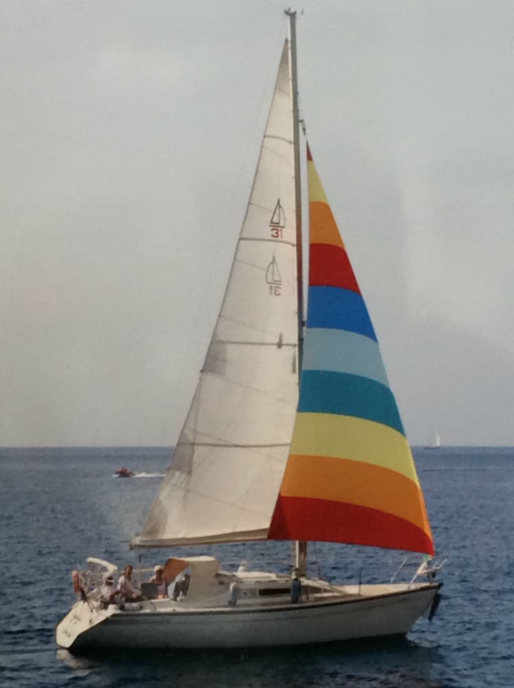 DEHLER  31 top nova – Bild 3