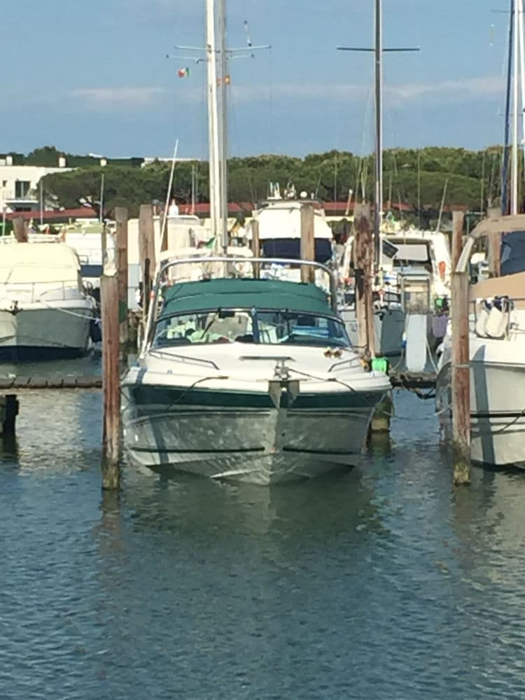Sea-Ray – Bild 4