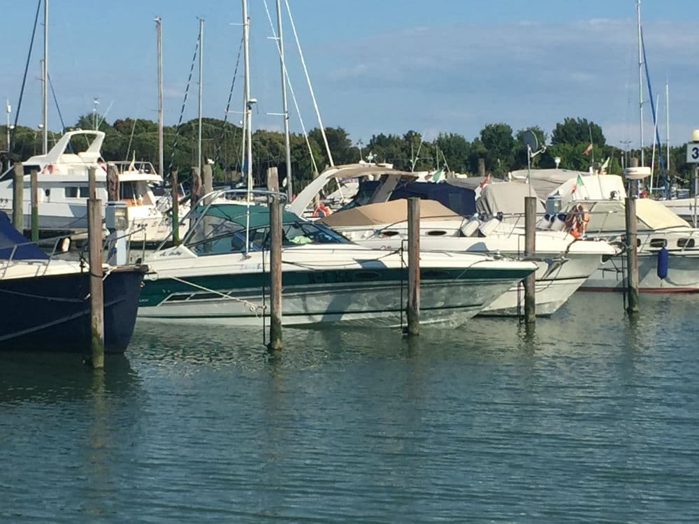 Sea-Ray – Bild 3