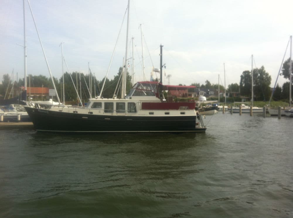 Linden Spiegelotter – Bild 5