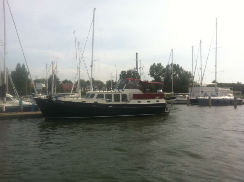 Linden Spiegelotter – Bild 4