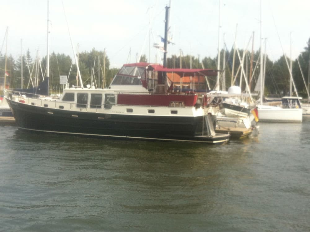 Linden Spiegelotter – Bild 7