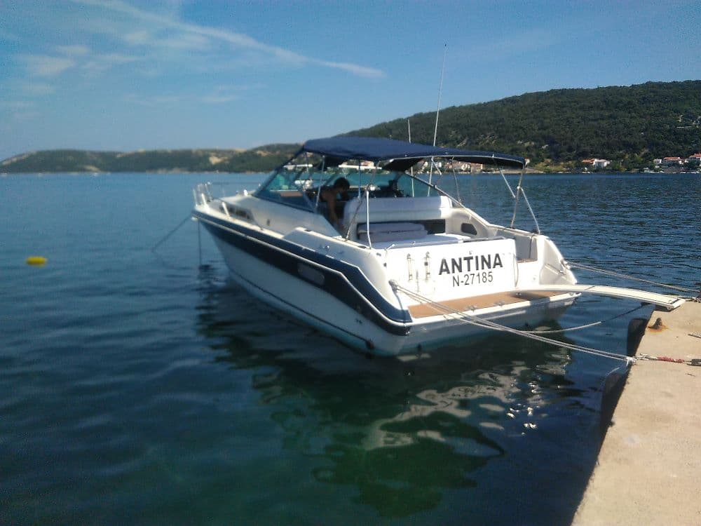 Sea Ray 310 DA – Bild 8