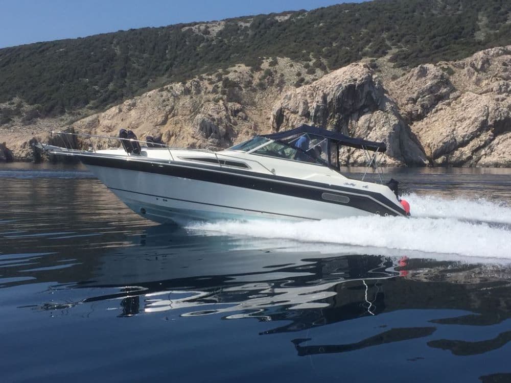 Sea Ray 310 DA