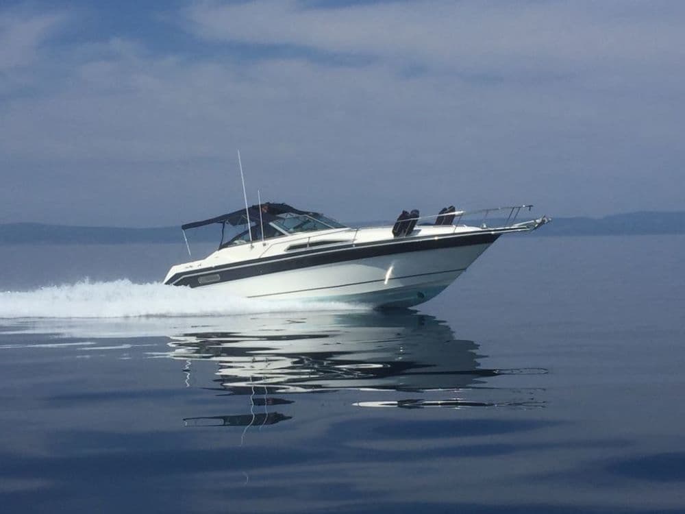 Sea Ray 310 DA – Bild 3