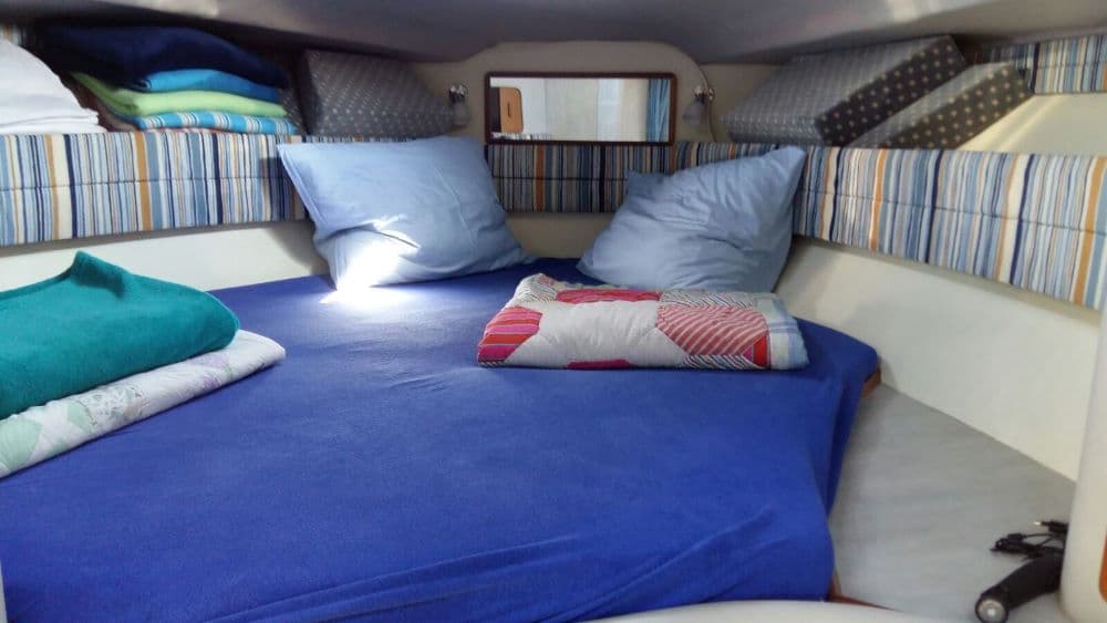 Sea Ray 310 DA – Bild 6