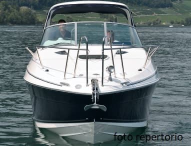 SEA RAY 315 Sundancer – Bild 2