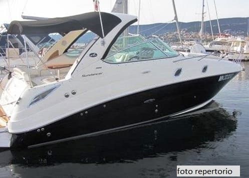 SEA RAY 315 Sundancer – Bild 3