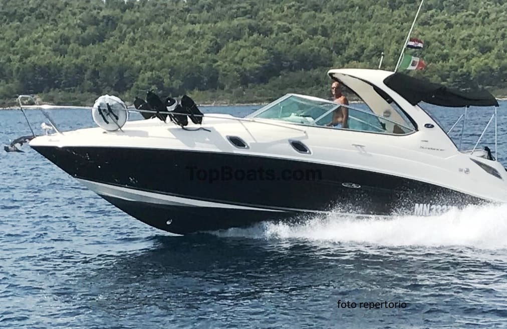 SEA RAY 315 Sundancer – Bild 4