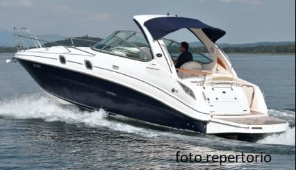 SEA RAY 315 Sundancer