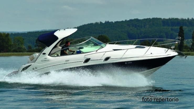 SEA RAY 315 Sundancer – Bild 9