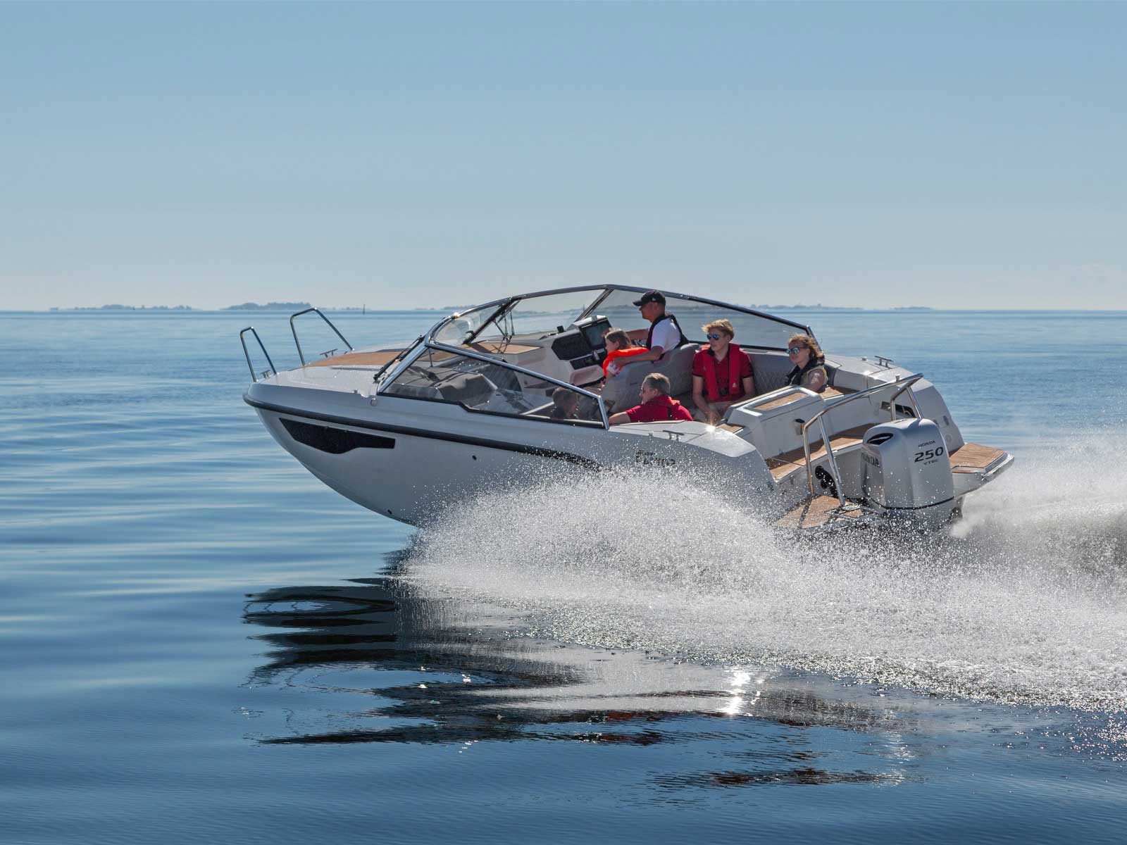 SILVER RAPTOR DCZ – Bild 2