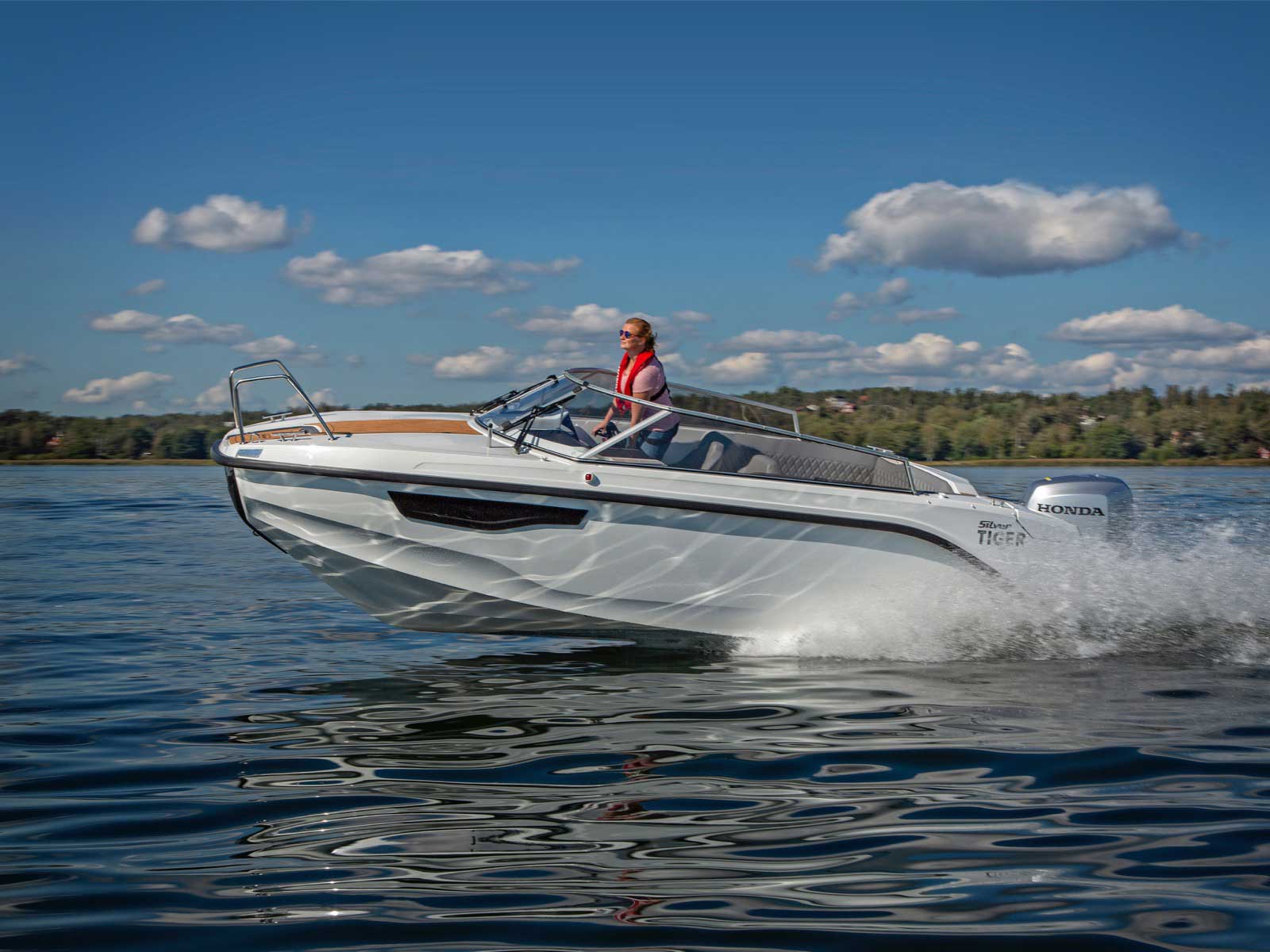 SILVER TIGER DCZ – Bild 2