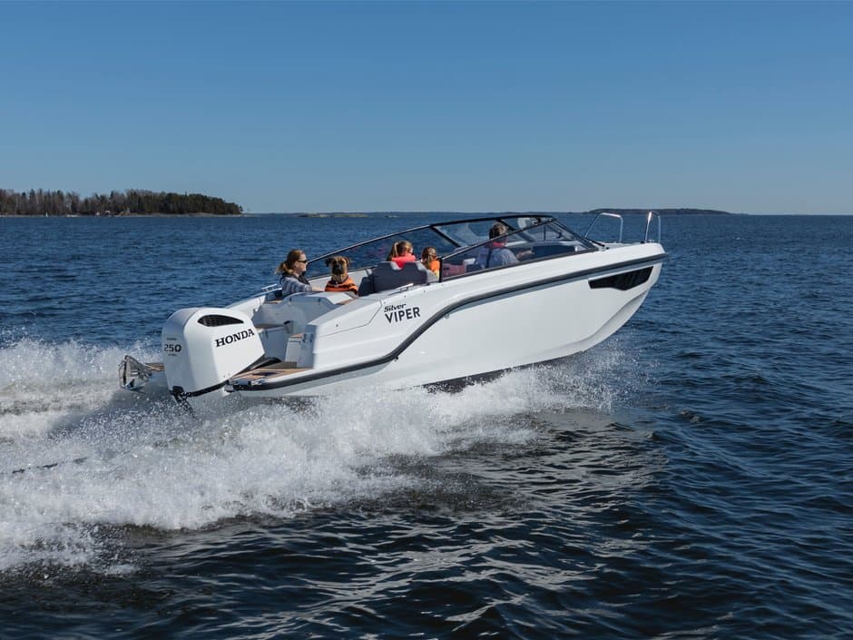 SILVER VIPER DCZ – Bild 2