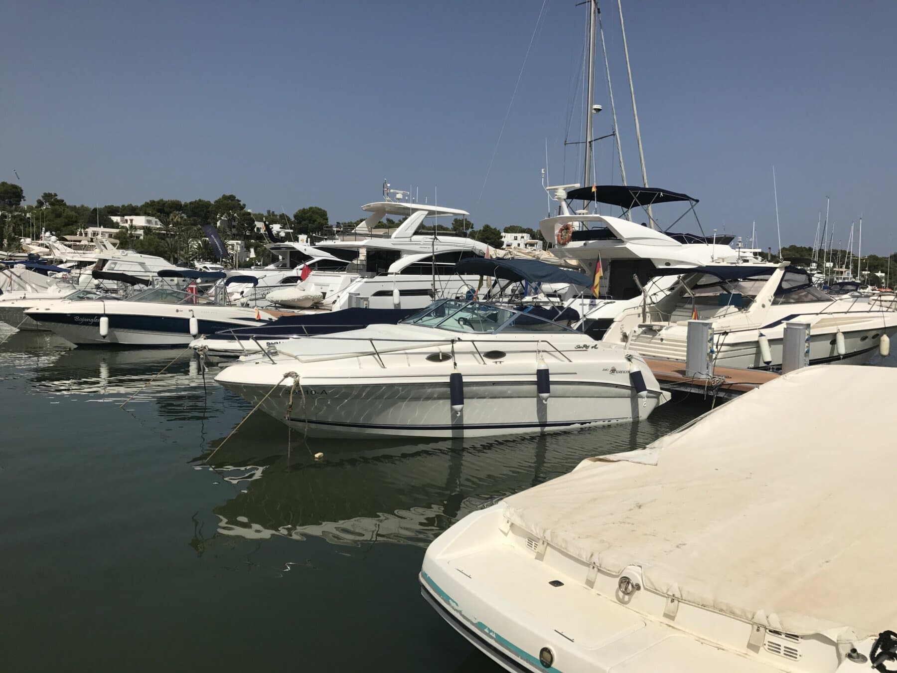 Sea Ray 240 – Bild 6