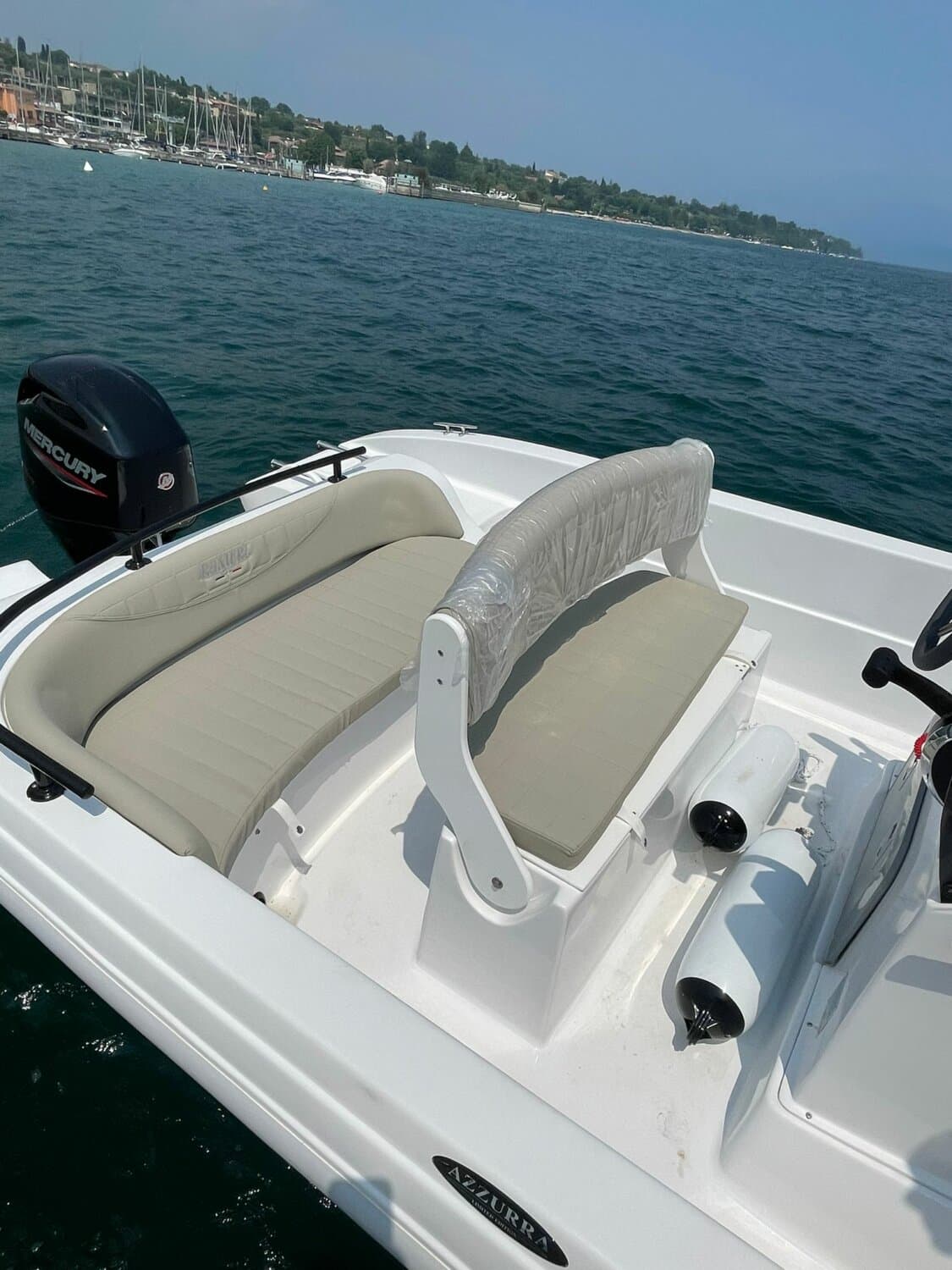 Ranieri Azzurra + SUZUKI DF 40 ARI - PROMO – Bild 5