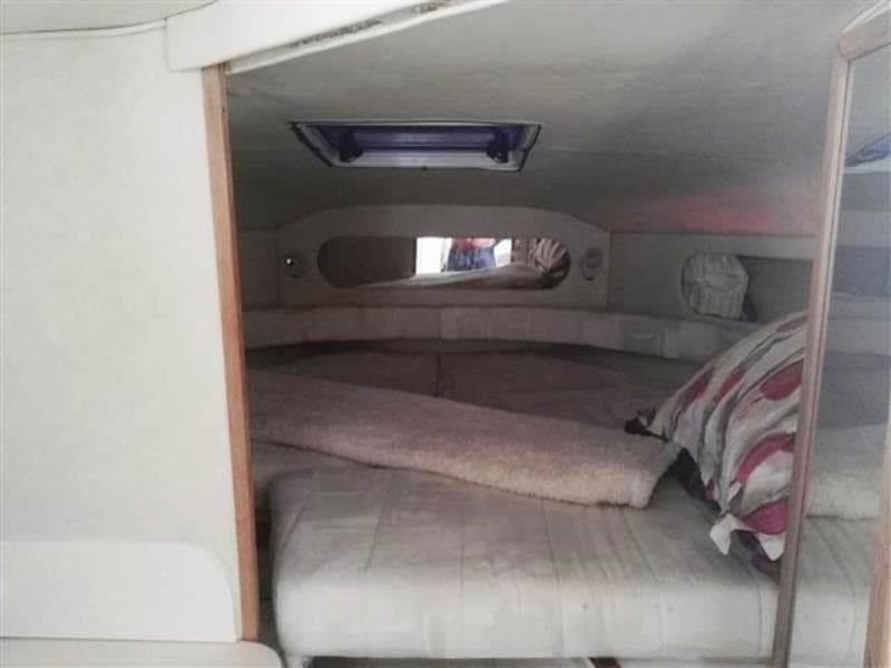 Sea Ray 290 (1997) – Bild 12