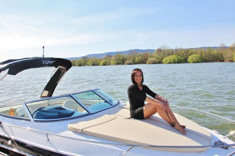 VIPER V 243 – Bild 4