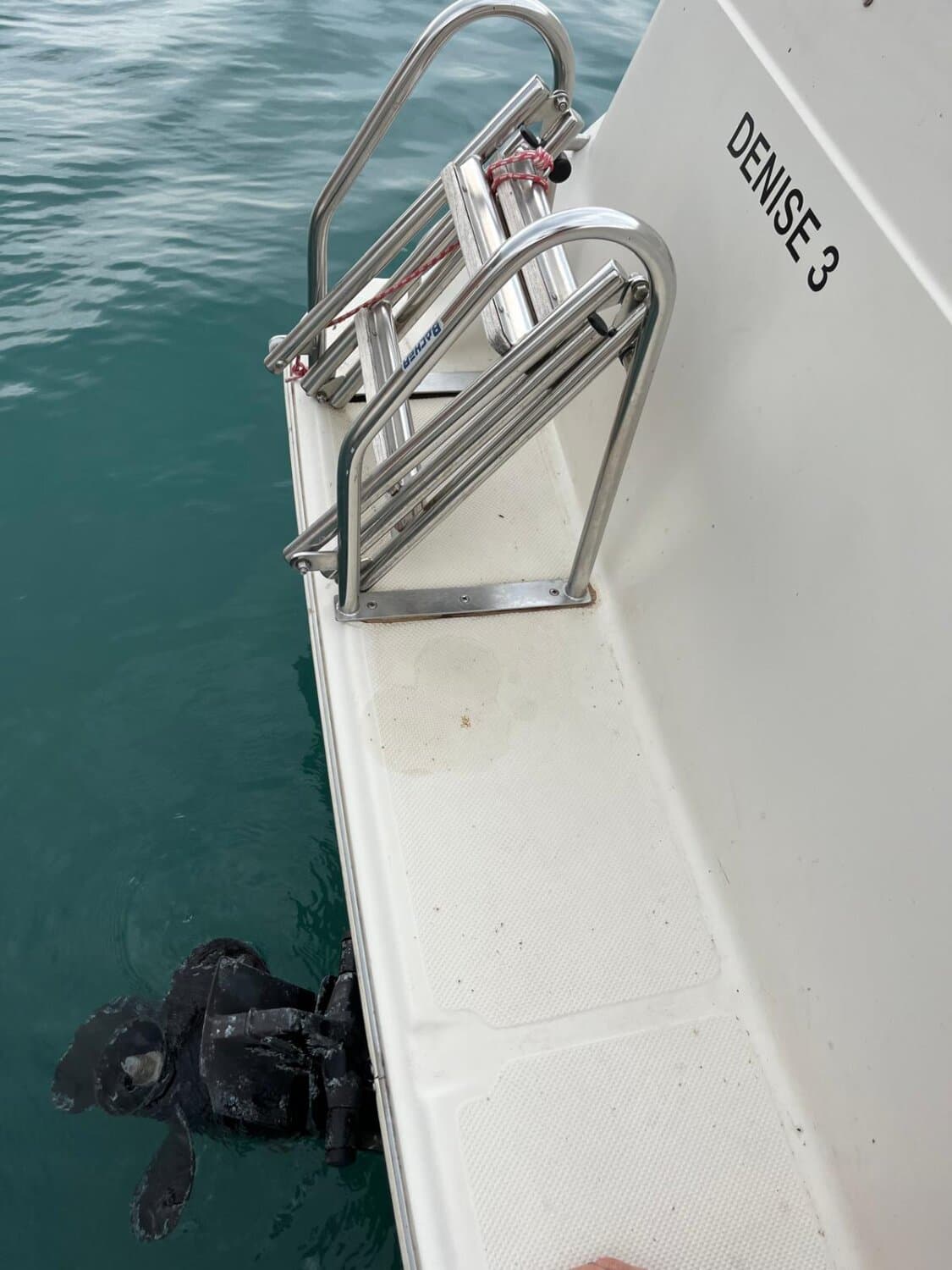 Bayliner CIERRA 2655 – Bild 5
