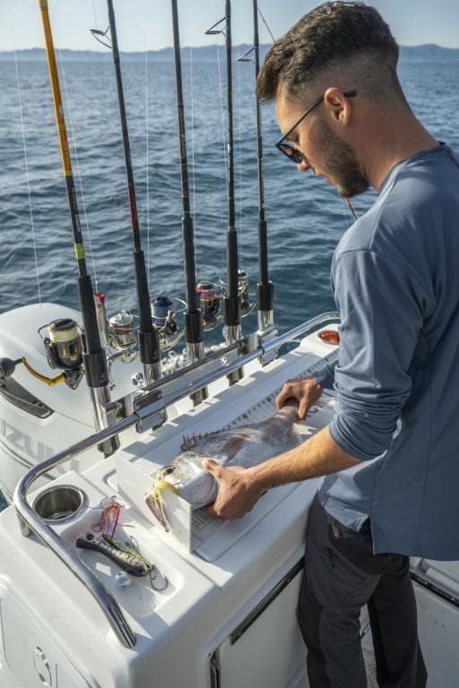 Bénéteau Antares 8 Fishing – Bild 8