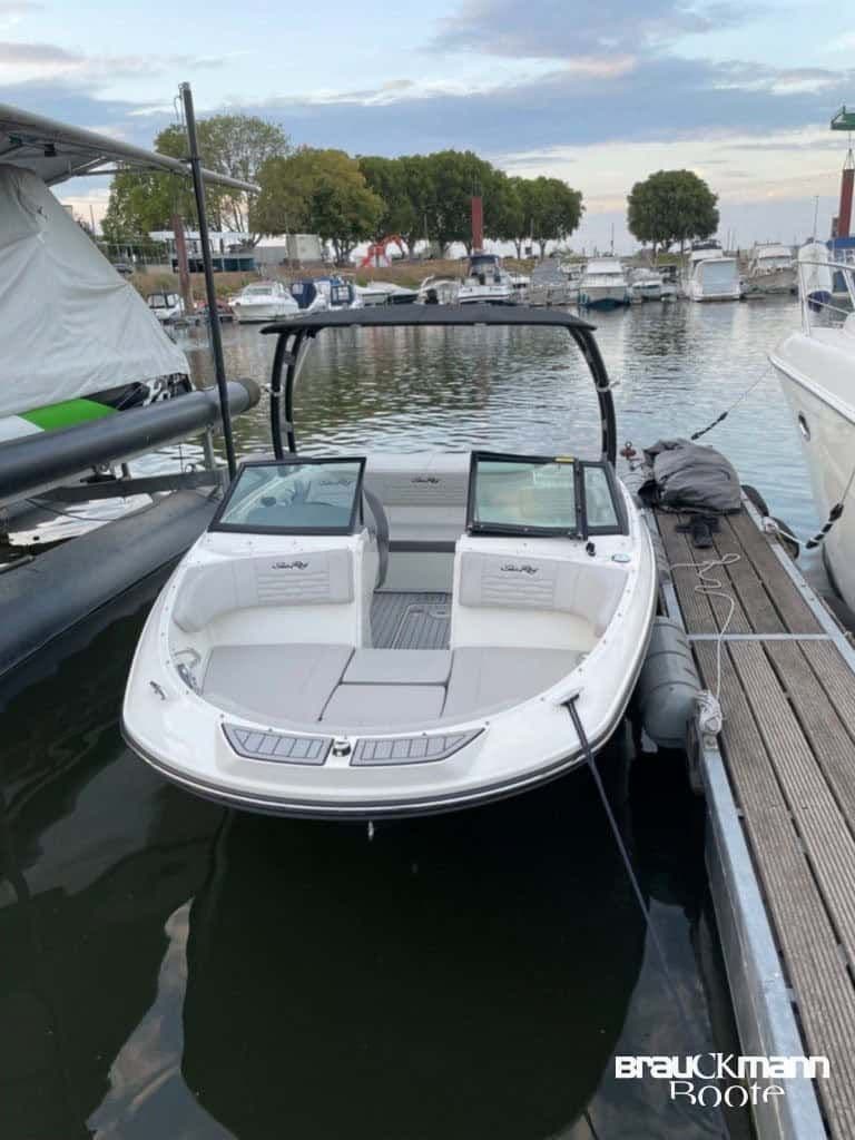 Sea Ray 190 SPX WBT mit Mercruiser 45 250 MP inkl Trailer – Bild 3