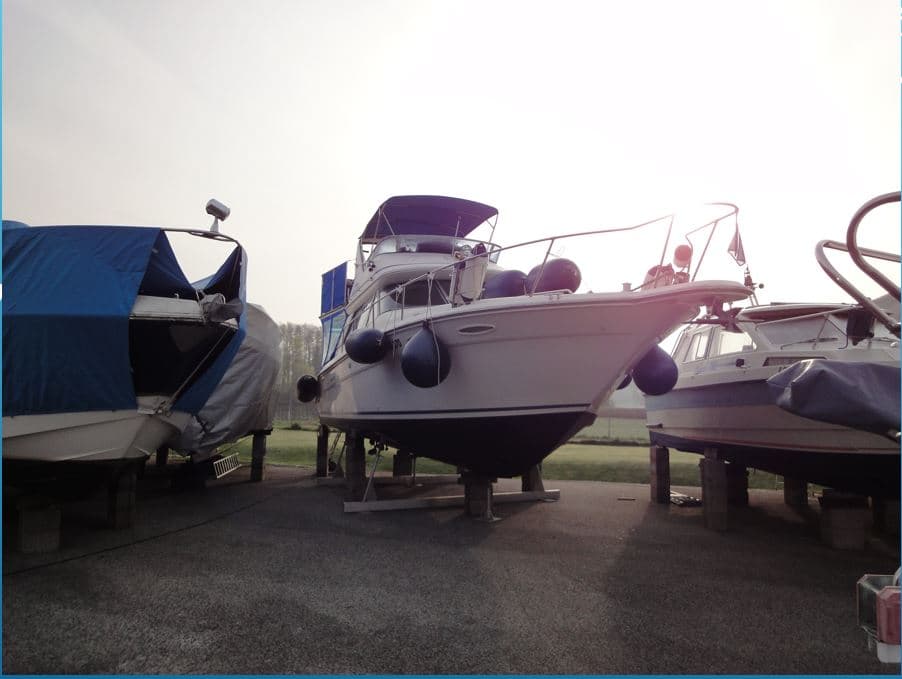 Sea Ray DB Extraklasse Traumboot