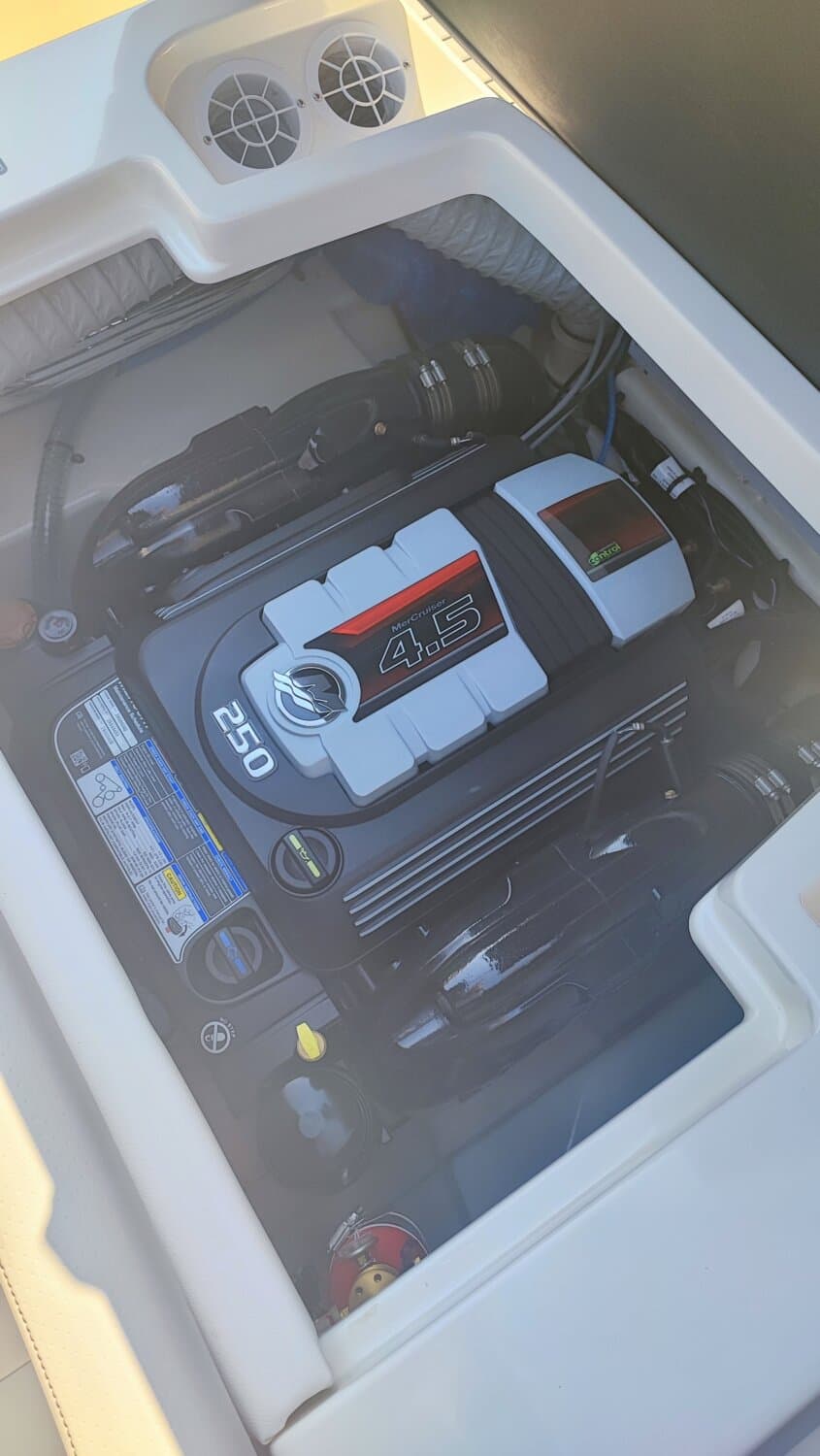 Sea Ray 190 SPXE – Bild 12