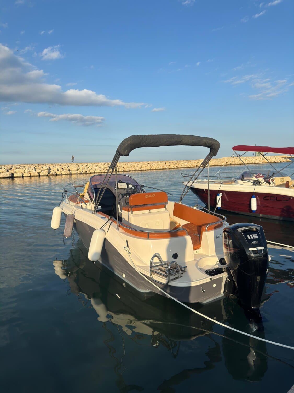 AS MARINE 22 WA+Mercury F115 (2018) DE