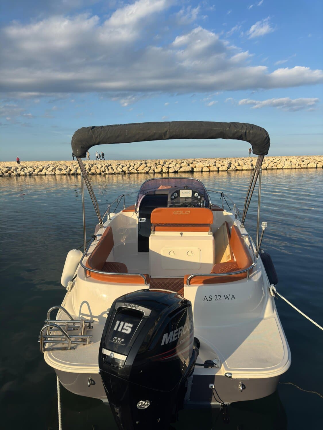 AS MARINE 22 WA+Mercury F115 (2018) DE – Bild 3