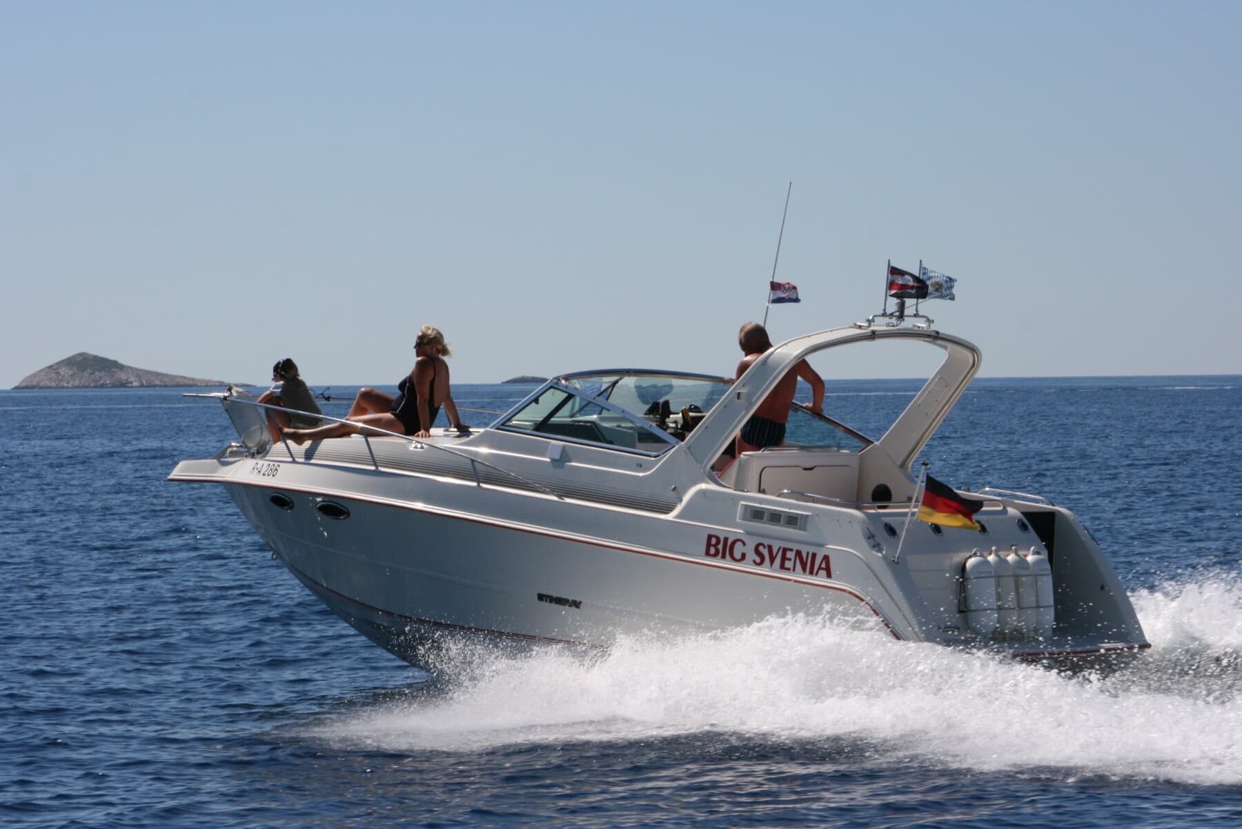 Stingray SVC 829 – Bild 5