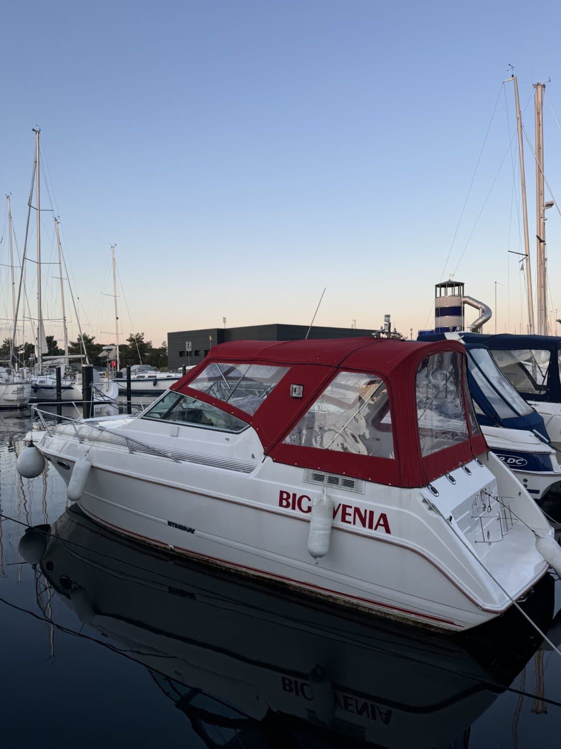 Stingray SVC 829 – Bild 3