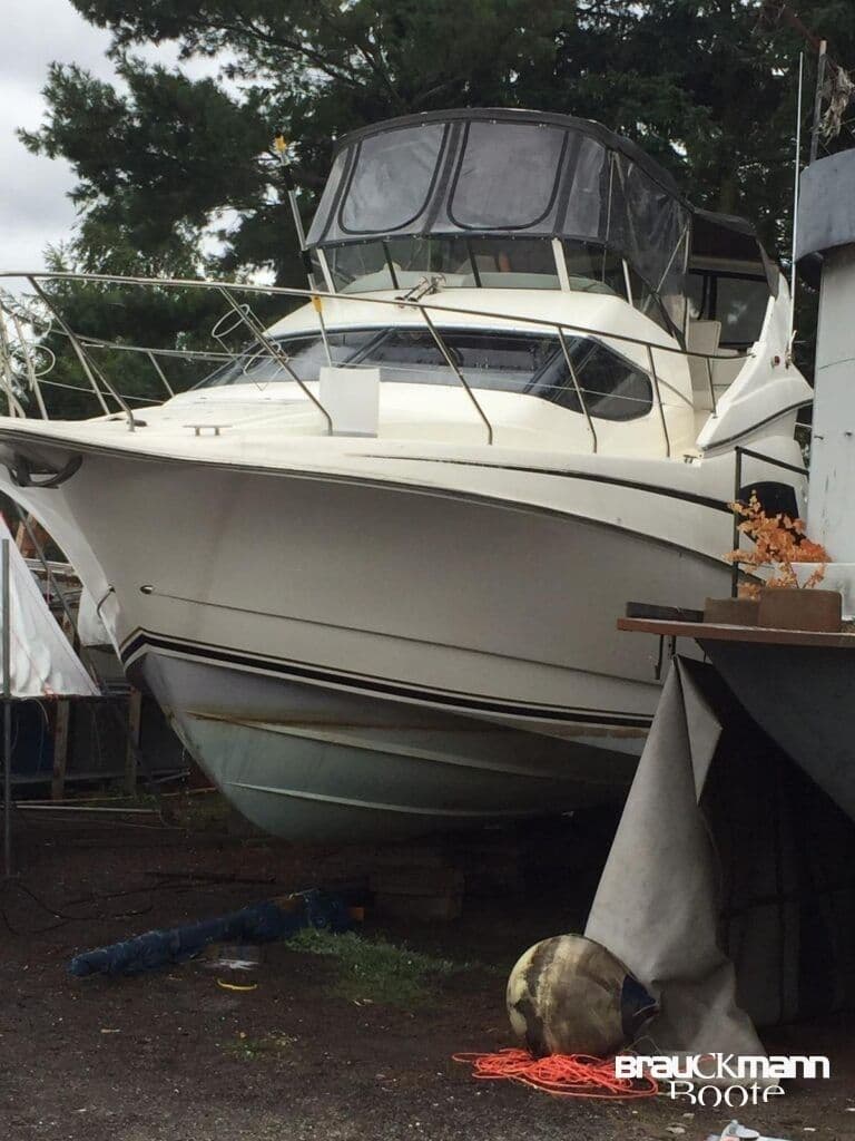 Silverton 330 Sport Bridge  Ihre private Yacht fr stilv – Bild 5