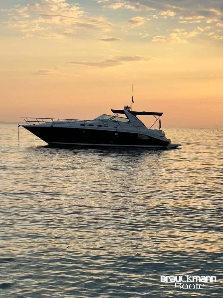 Sea Ray 37 – Bild 5