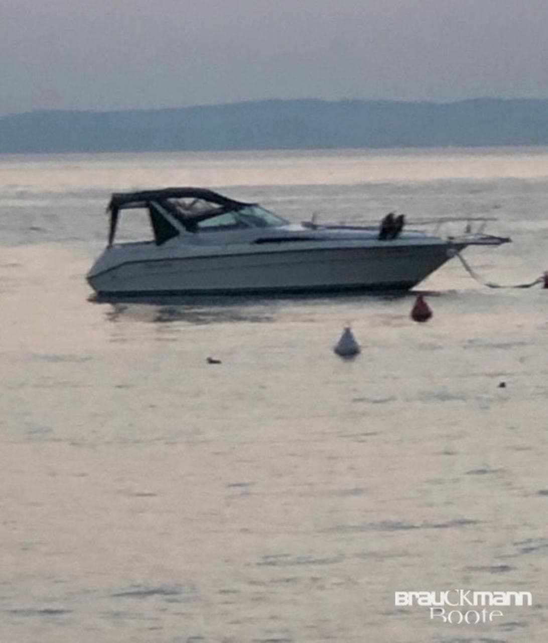 Sea Ray 310 DA