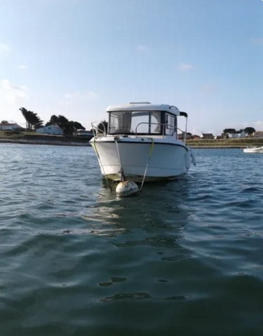 QUICKSILVER 605 PILOTHOUSE - INCE – Bild 2
