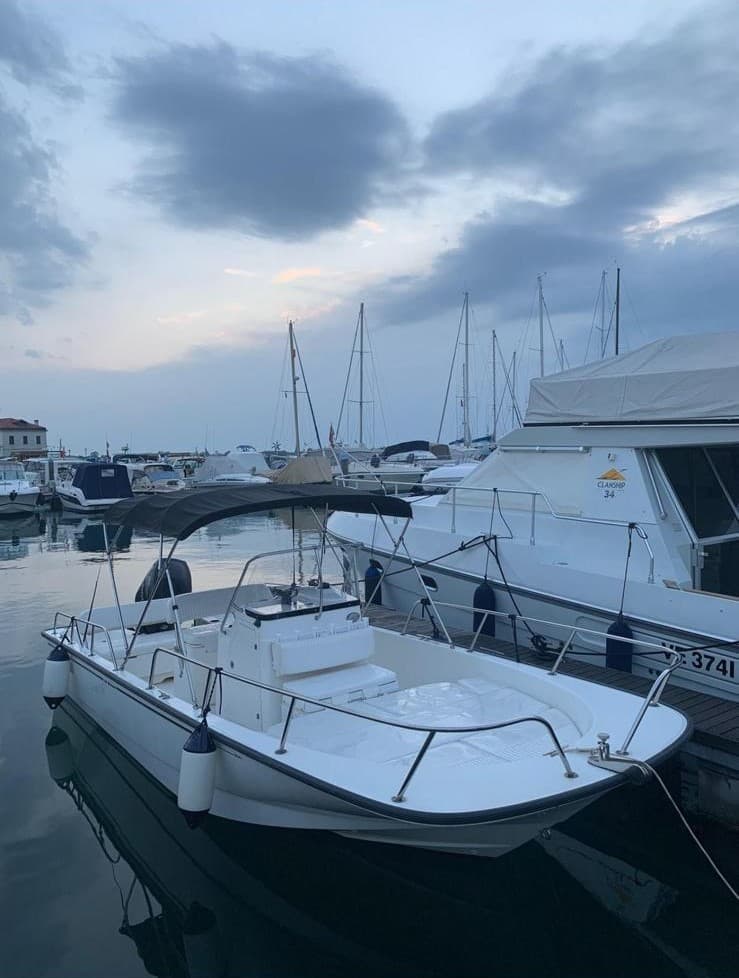 BOSTON WHALER MONTAUK 210 – Bild 2