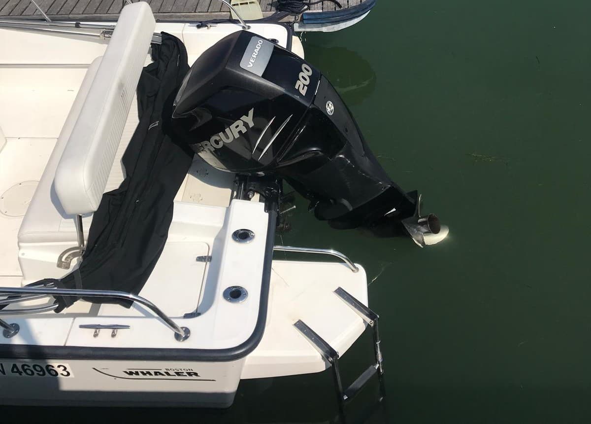 BOSTON WHALER MONTAUK 210 – Bild 5