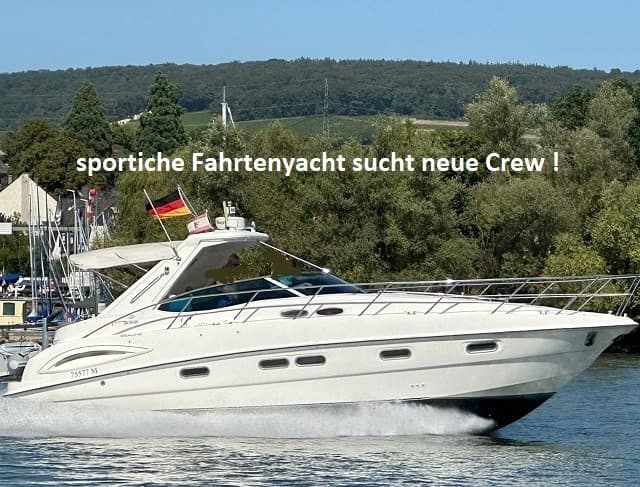 Sealine S 38