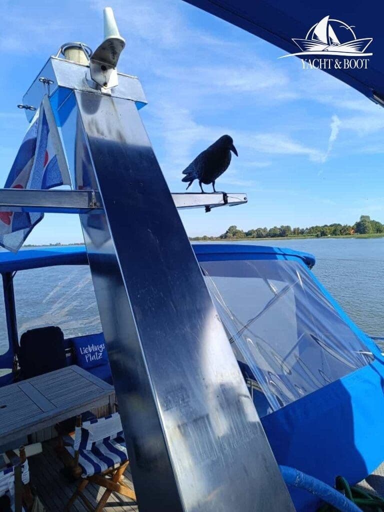 Neptunus 131 Fly | 2× Volvo Penta, Revision 2024 – Bild 6