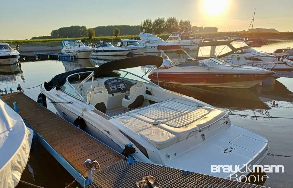 Sea Ray 240 SSE Sunsport inklusive neuwertigem Ohlmeier Trai – Bild 2