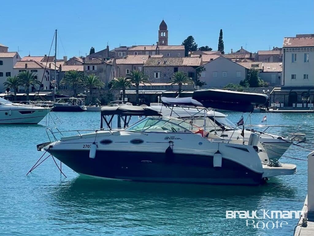 Sea Ray 255 Sundancer 2008 mit Trailer Top Ausstattung
