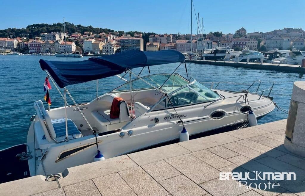 Sea Ray 255 Sundancer 2008 mit Trailer Top Ausstattung – Bild 3