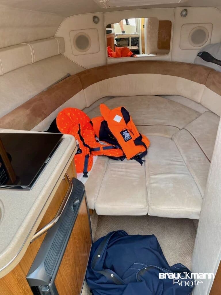 Sea Ray 255 Sundancer 2008 mit Trailer Top Ausstattung – Bild 7