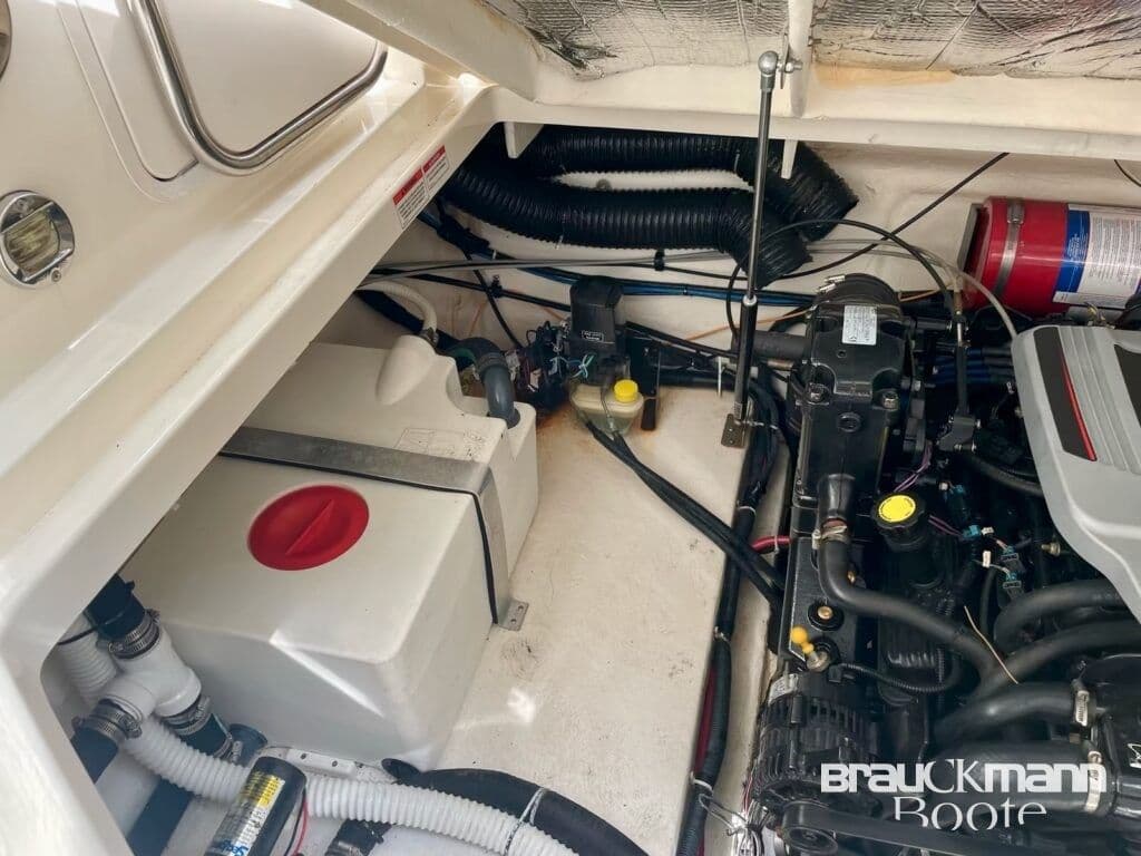 Sea Ray 255 Sundancer 2008 mit Trailer Top Ausstattung – Bild 5